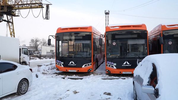 Демешин разнёс чиновников за простой новых автобусов