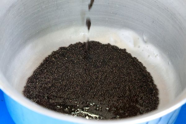 Сотни килограммов поддельной чёрной икры из Китая прибыли в Россию