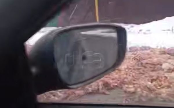 В Асбесте дорогу засыпало мёртвыми курицами