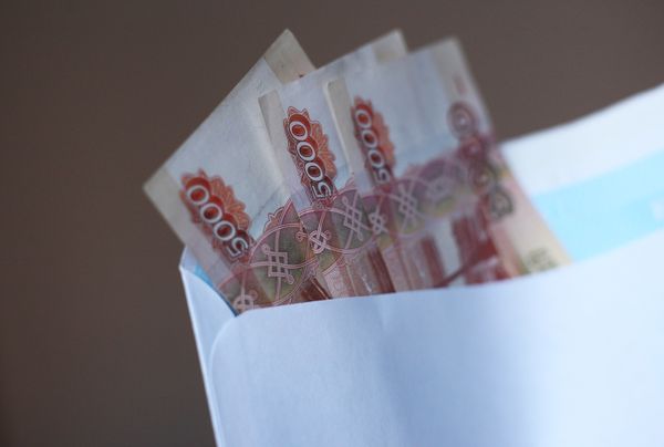 Экономист объяснил свою идею "проиндексировать" порог мелкой взятки в России