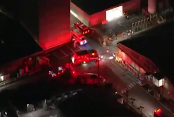 Мужчина с катаной напал на завод Yokohama в Японии