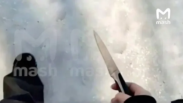 Шестиклассница в Воронеже пришла в школу с ножом и снимала всё на видео