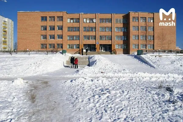 Школьница ударила ножом одноклассницу в Красноярском крае