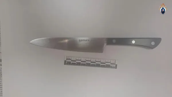 Напавшая на одноклассницу в Красноярском крае девочка принесла нож из дома
