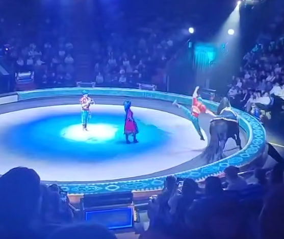 В Нижнем Новгороде акробат сломал ногу во время выступления