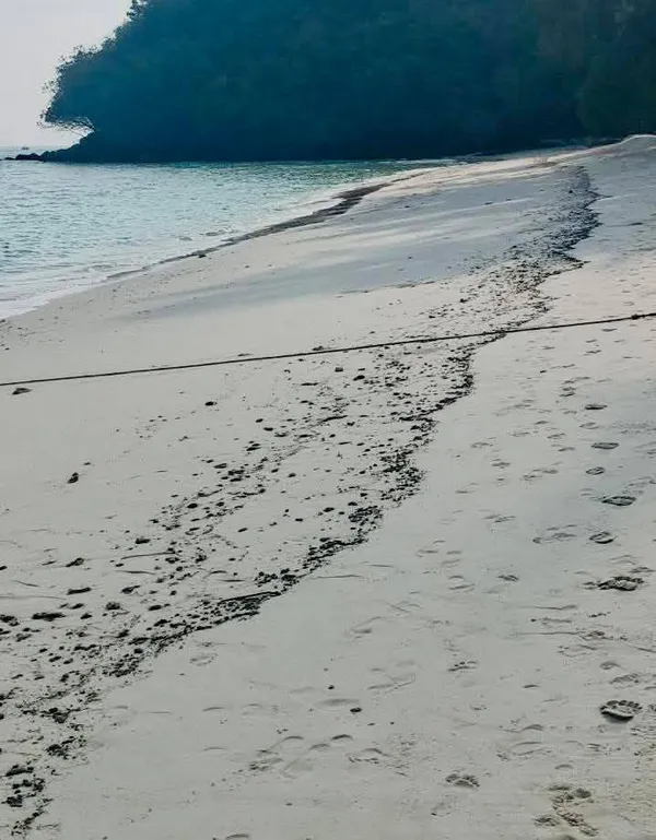 На Пхукете к курортным точкам прибило сгустки мазута