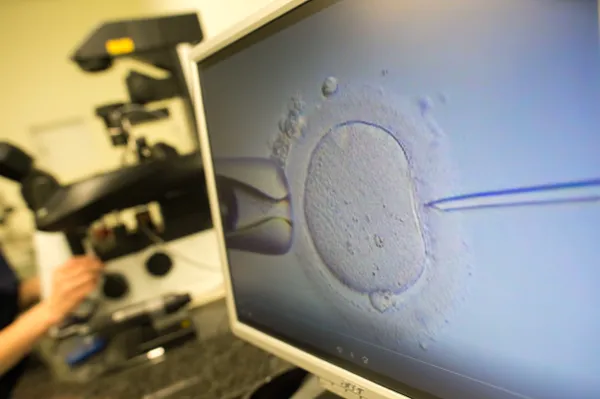 Вдовам бойцов СВО отказывают в процедуре ЭКО с замороженными эмбрионами