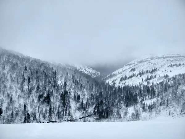 Группа туристов пропала в горах в Пермском крае: все подробности, список