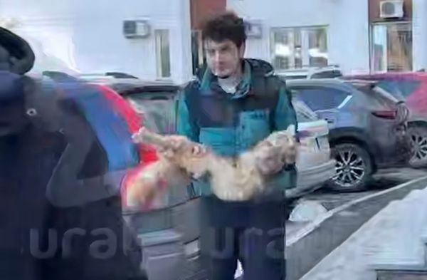 Кот застрял в открытом окне многоэтажки в Екатеринбурге