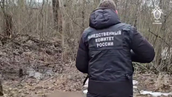 Убийство 17-летнего подростка в Пушкине: что известно на данный момент