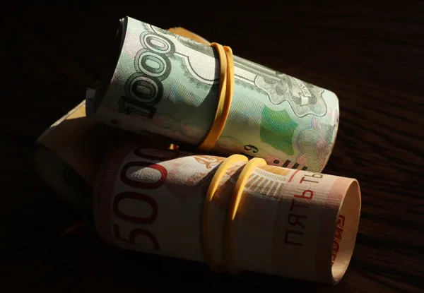 С иноагентов предложили брать минимум 10% от дохода на ремонт сельских клубов