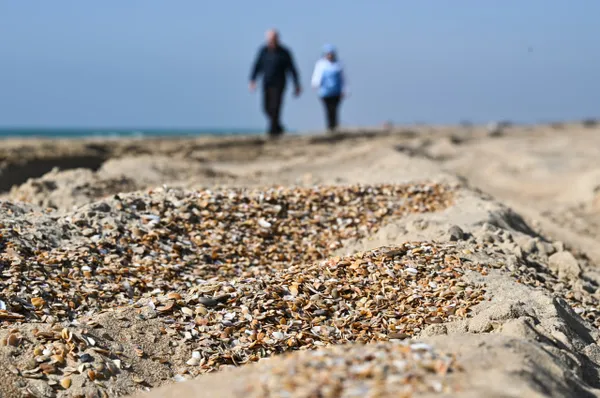 Пляжи Анапы готовы открыть к сезону, но есть нюансы