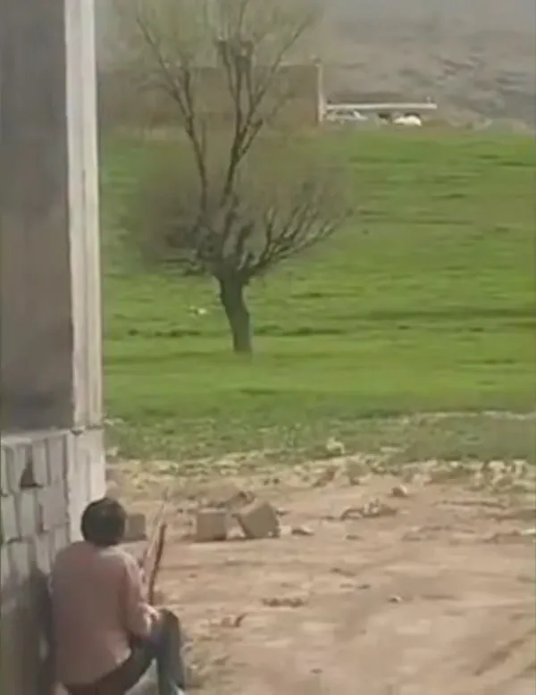 Иранский фермер попытался из ружья сбить спасательный вертолёт США: видео