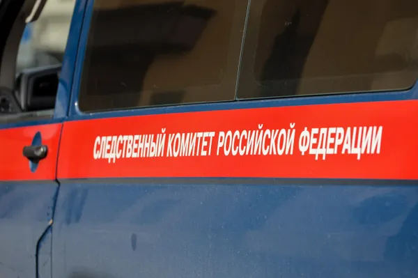 В Подмосковье на отца, кидавшего ножи в живот сыну, завели уголовное дело