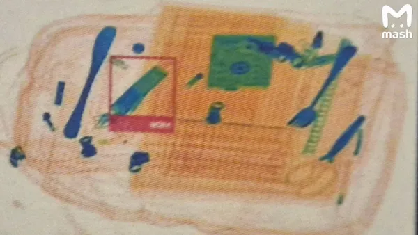 В российских школах начали просвечивать рюкзаки на входе, чтобы найти вейпы