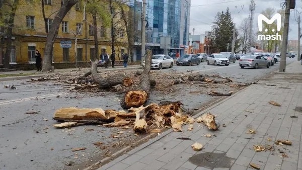 В Самаре 13-летнюю девочку убило деревом