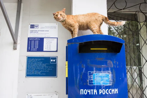 Выяснилось, где "Почта России" работает всего один день в неделю