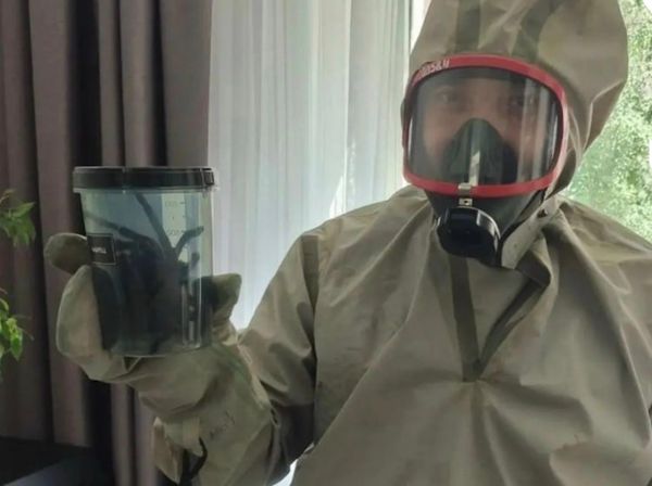 Тропический паук размером с ладонь залез в квартиру женщины в Сургуте