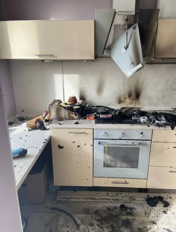 Кот взорвал квартиру в подмосковном Одинцово, пока хозяев не было дома