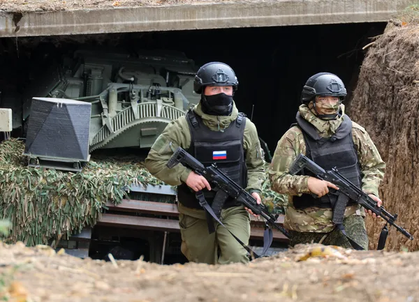 ВС РФ полностью взяли под контроль Доброполье