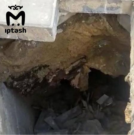 https://static.mash.ru/unsafe/rs:fit:600:450/czM6Ly9tYXNoL2ltYWdlLzIwMjItMDQtMDgvYjhkNjg2YTMtOTU1Yi00NTBjLTkxMWItMzJlNmYzMWY2OGEzLzkyMWVhNmQ3LTZlYTItNTdjOC1iYThlLWVmNzlhNjg4NmFkYy5qcGc