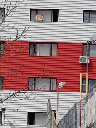 В Румынии полиция пришла к студенту из-за плаката с конем