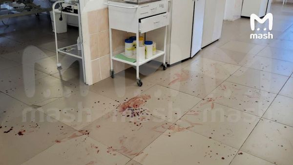 Буйный пациент-алкоголик напал на сотрудников больницы под Тулой — его застрелили при задержании