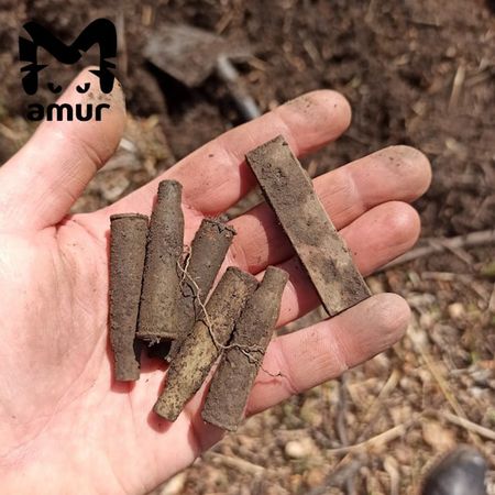 Приморские общественники нашли 60 артефактов времён гражданской войны на Каульских высотах