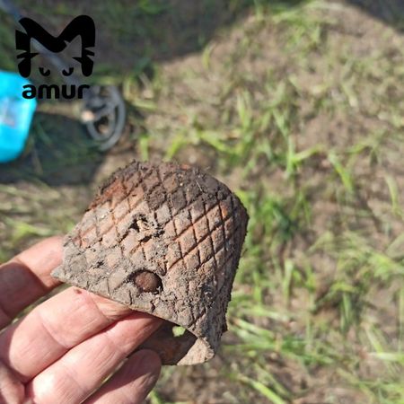 Приморские общественники нашли 60 артефактов времён гражданской войны на Каульских высотах