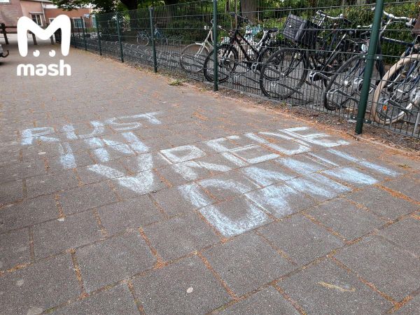 Уроженку Перми и её шестилетнего ребёнка жестоко убили в Нидерландах