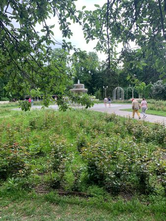 13. Парк Горького. Маленький забор у розария с фонтаном.