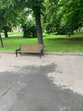 12. Парк Горького. Скамейка ближе к центральному входу.