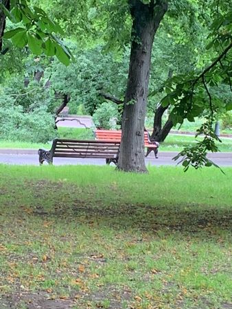 12. Парк Горького. Скамейка ближе к центральному входу.