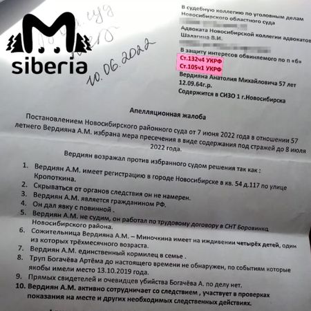 Многодетная мать из Новосибирской области тратит детские пособия на адвоката, чтобы вернуть сожителя