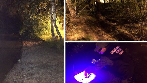 16-летнюю девушку убили в Железногорске, когда она возвращалась со Дня города