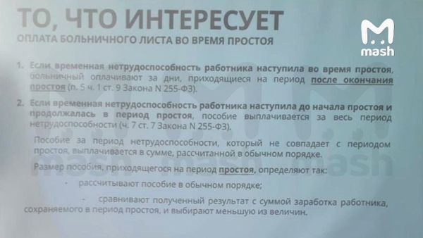 https://static.mash.ru/unsafe/rs:fit:600:450/czM6Ly9tYXNoL2ltYWdlLzIwMjItMDgtMTAvZjY5MjE1MDItOTQ0MS00NmU0LWIzY2EtOTc4NTU2OThjMDU4LzA2ZTZiNzhhLWE0YTYtNWJiNy1hZGY3LWQ5MDdkYTk4NGEwNS5qcGc
