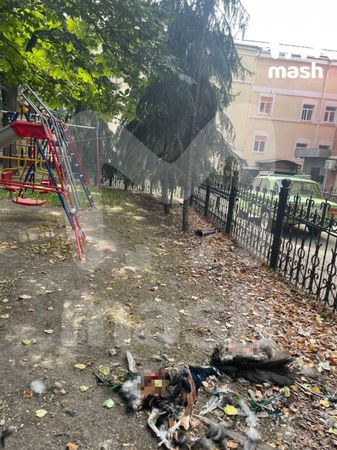 В столичном кафе убили восемь павлинов
