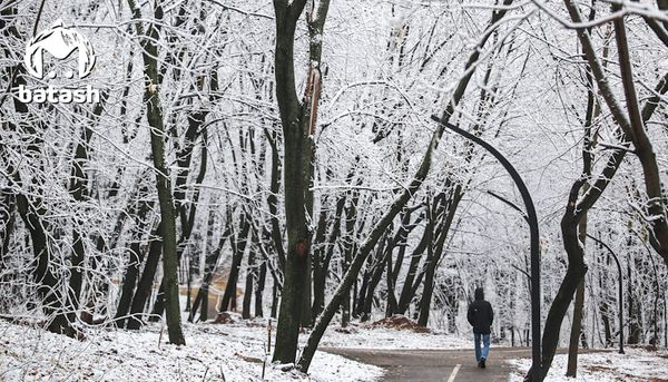 Уфу накрыл первый слой снега