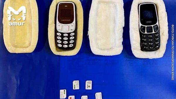 Заключённым приморского СИЗО пытались передать телефоны, спрятанные в репчатом луке