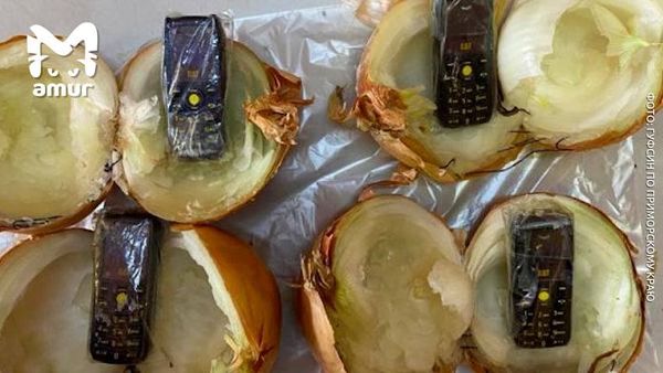 Заключённым приморского СИЗО пытались передать телефоны, спрятанные в репчатом луке