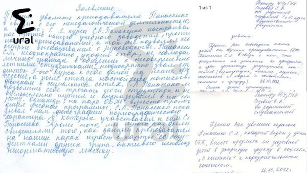 Ректорат ЮУрГИИ обратился в полицию из-за пикантного хобби работника