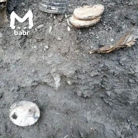 Жительница Борзи нашла в огороде 110 монет царских времён