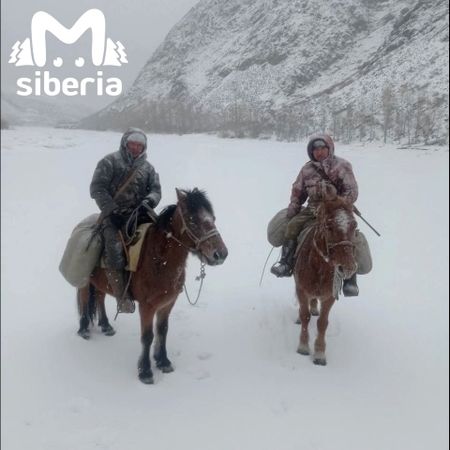 Снежные барсы вернулись в тувинский заповедник спустя 20 лет