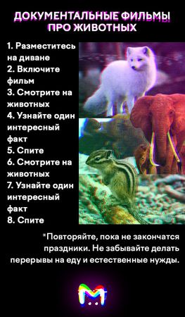 Что посмотреть вместо "Голубого огонька"? Карточки от Mash Room