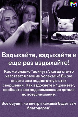 Как пережить застолье с родственниками? Карточки от Mash Room