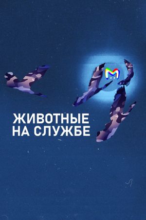 Примеры животных на военной службе: карточки от Mash Room