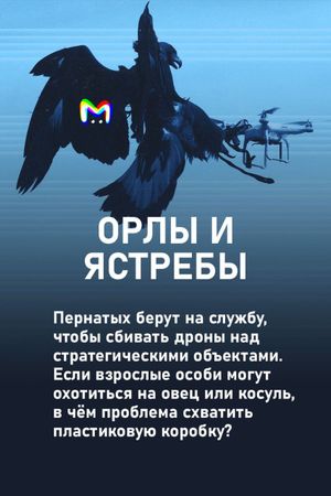 Примеры животных на военной службе: карточки от Mash Room
