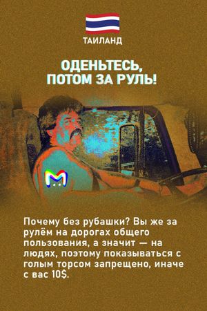 Странные правила дорожного движения в мире в карточках от Mash Room