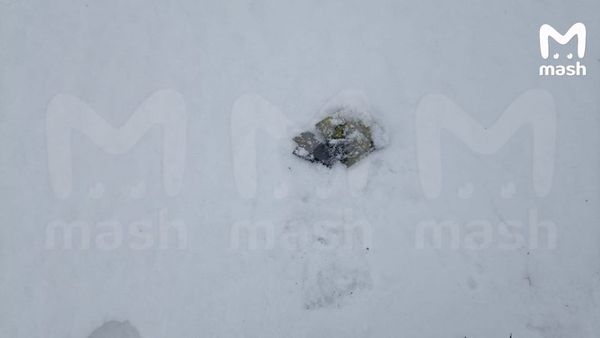 https://static.mash.ru/unsafe/rs:fit:600:450/czM6Ly9tYXNoL2ltYWdlLzIwMjMtMDMtMDIvNDRiMDA0MzktZTg3MC00NDQ3LWFlMzgtNWQyMmZmODRhOGExL2Q3Y2JkZGNjLWE3N2MtNTA0MS05OWE0LTJiZjM3YmYwNTI2Yy5qcGc