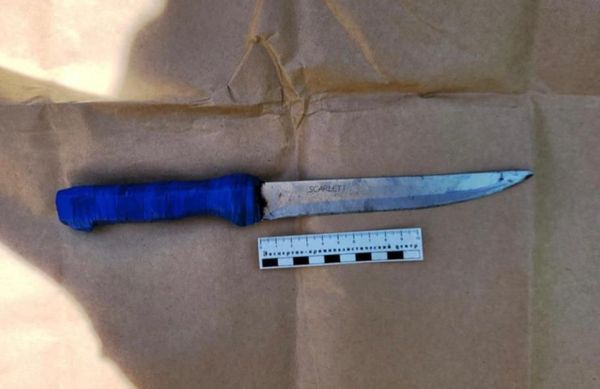 Убийцу семейной пары из Нижней Поймы приговорили к 15 годам колонии